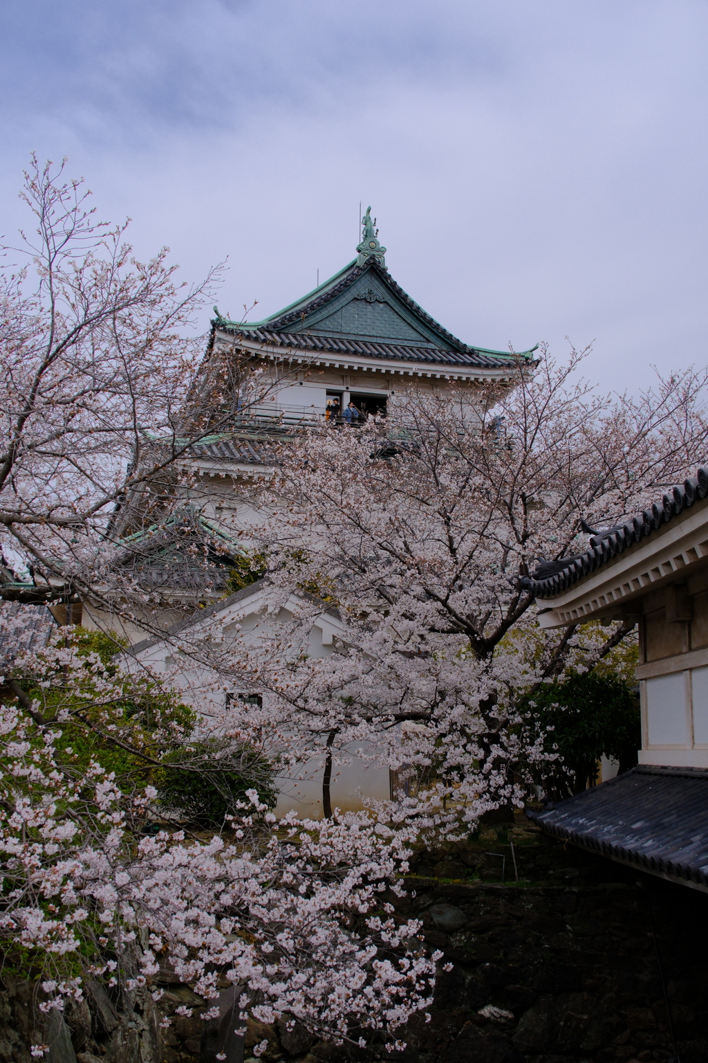 和歌山城