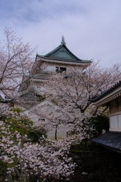 和歌山城