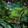 芦ノ湖にて