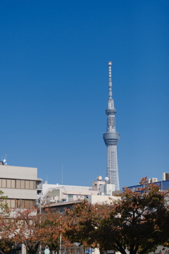 東京スカーツリー
