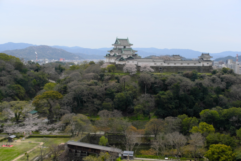 和歌山城