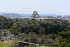和歌山城