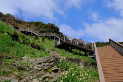 黒岩水仙郷