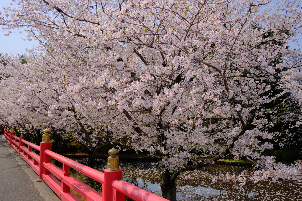 辯天宗冥應寺
