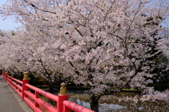 辯天宗冥應寺
