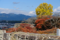 津山城の紅葉