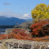 津山城の紅葉