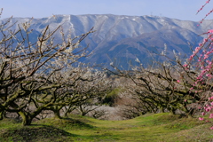 いなべ市農業公園