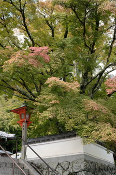 善峯寺