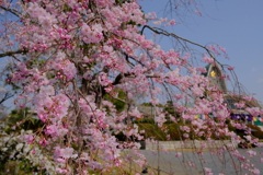 辯天宗冥應寺