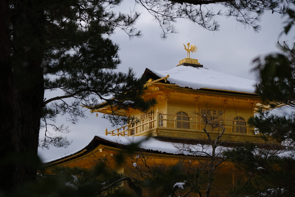 雪の金閣寺