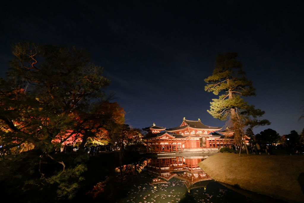 平等院鳳凰堂の夜景