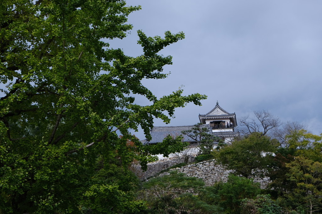 高知城