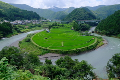 あらぎ島
