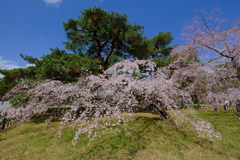右側