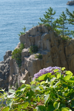 東尋坊