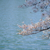 大阪城公園