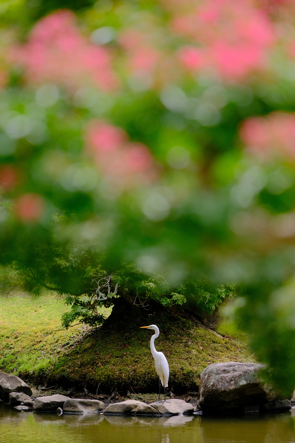 夏の日の白鷺　左