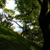 善峯寺