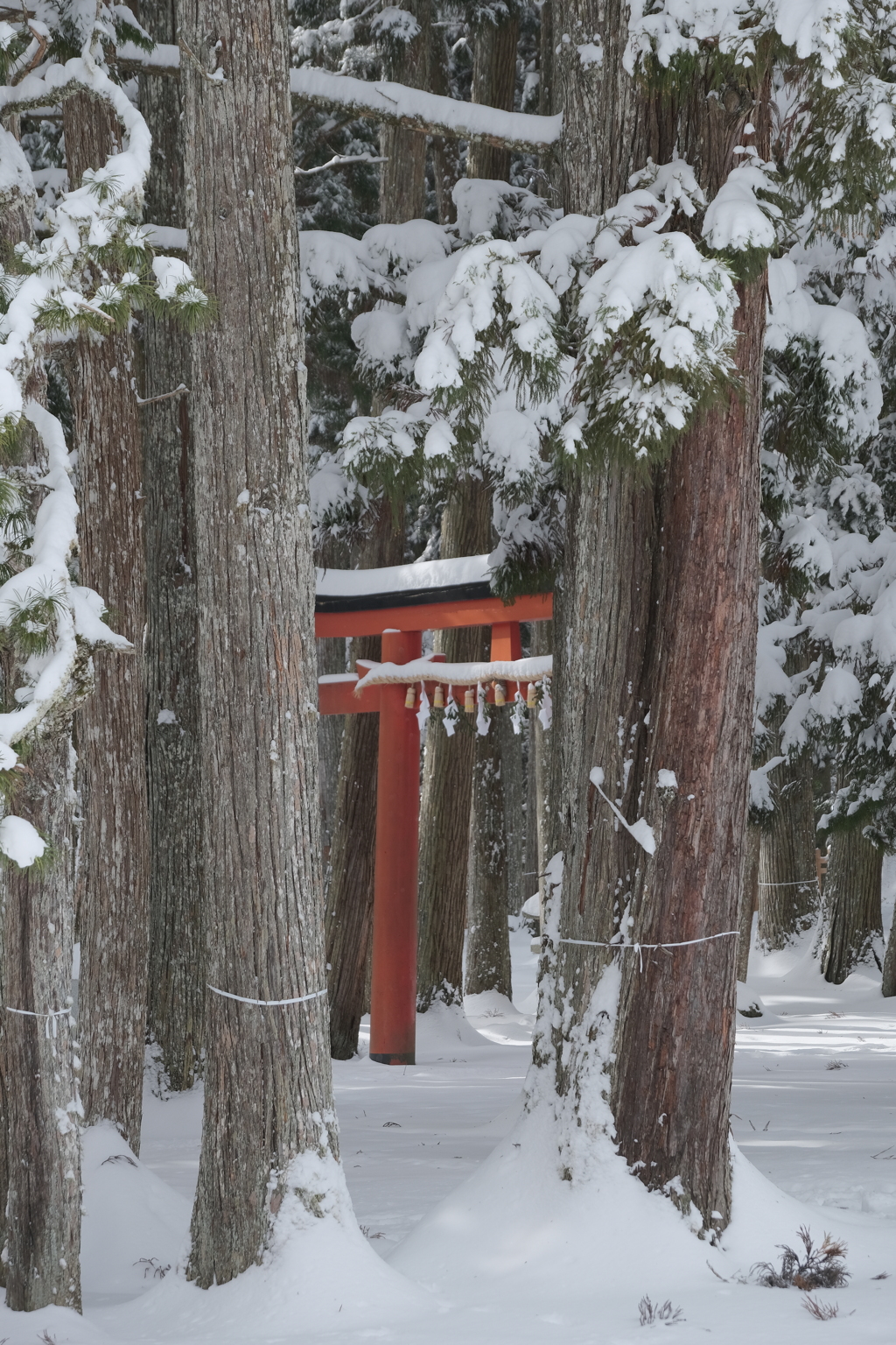 雪の高野山