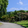 奈良公園