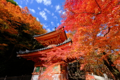 大威徳寺の紅葉