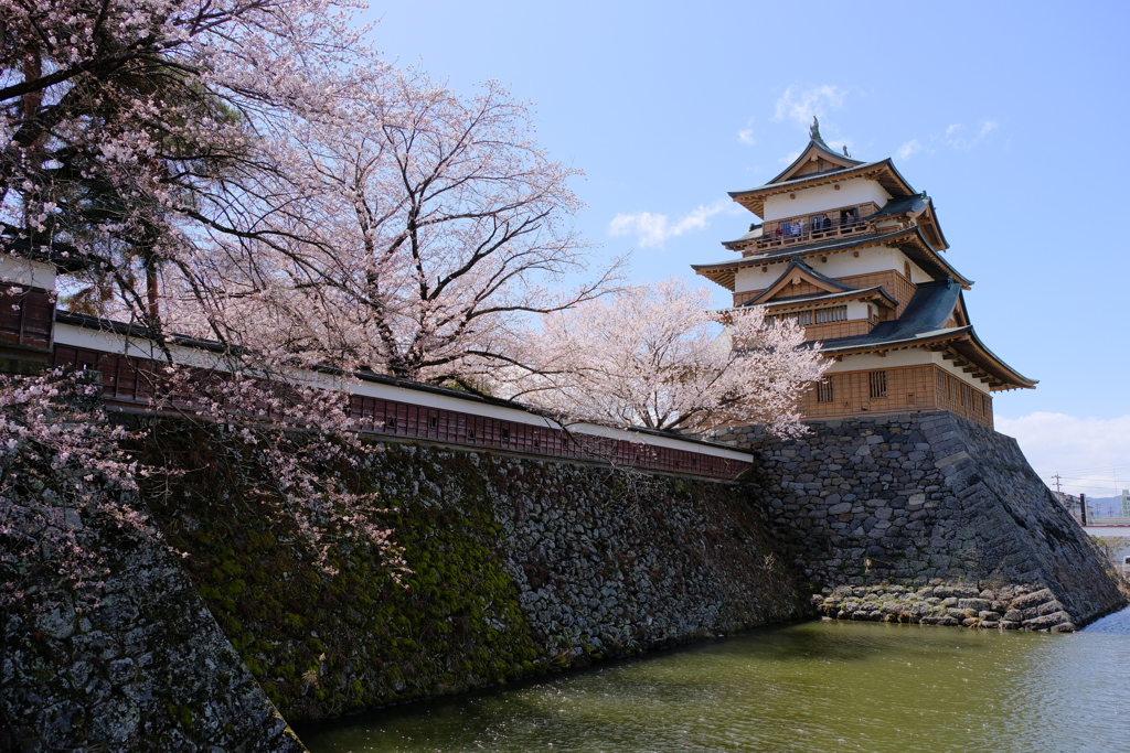 高島城の桜