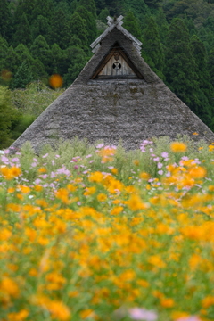 秋の里