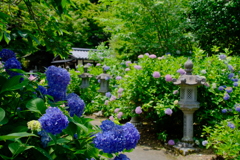 丹州観音寺