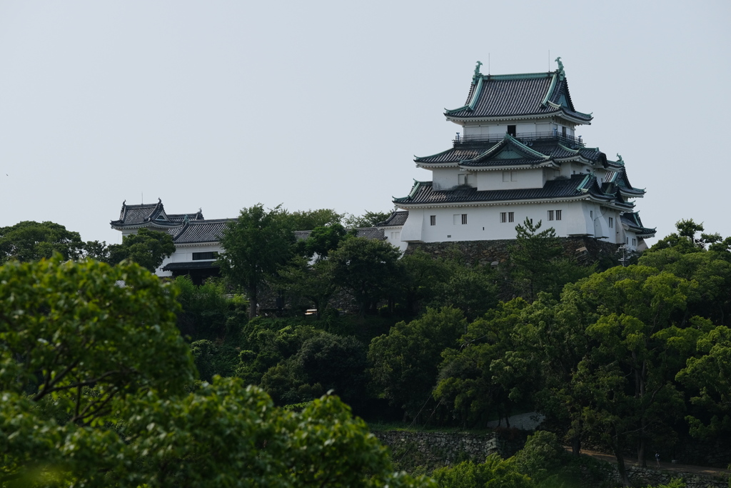 和歌山城