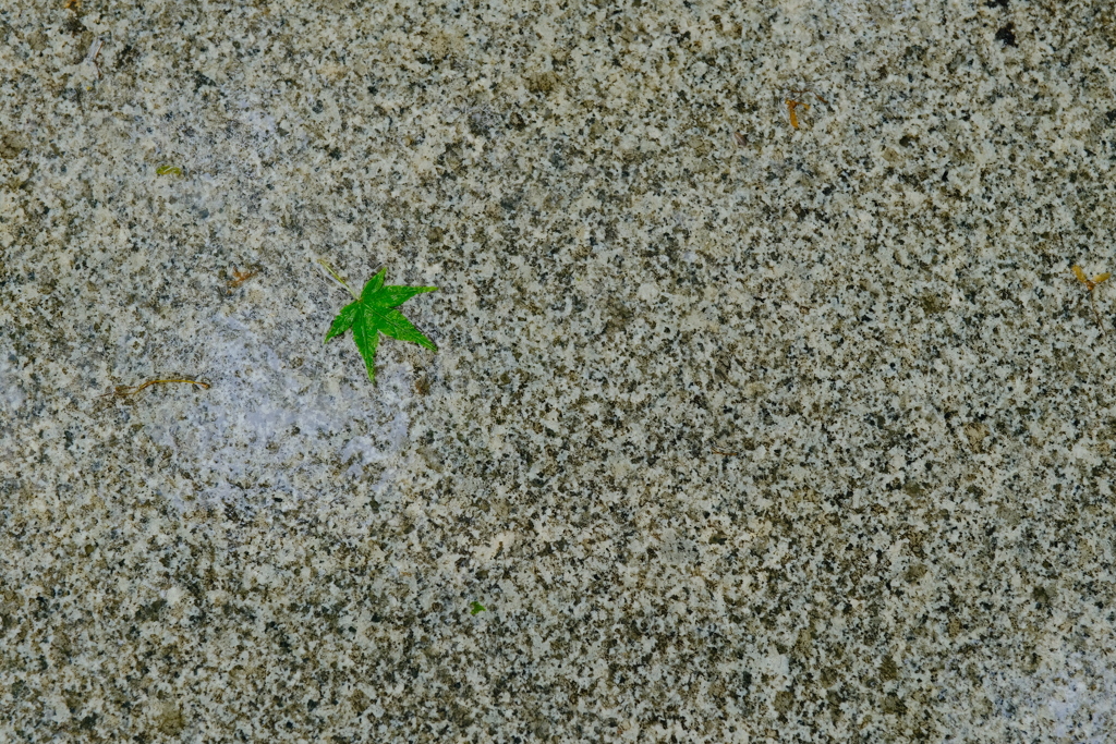 無題６