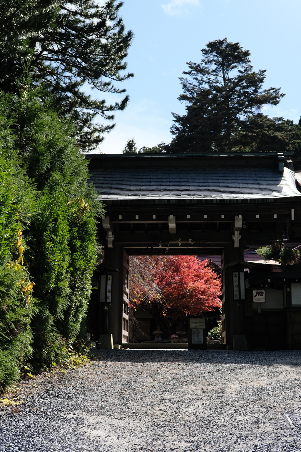 高野山の紅葉