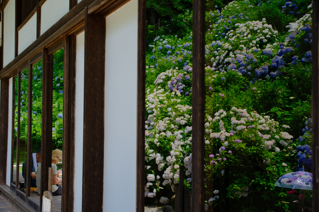 丹州観音寺