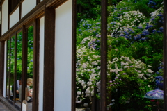 丹州観音寺
