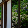 丹州観音寺