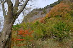 屏風岩公苑の紅葉