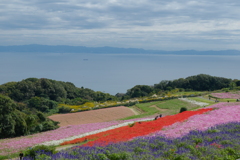 あわじ花さじき