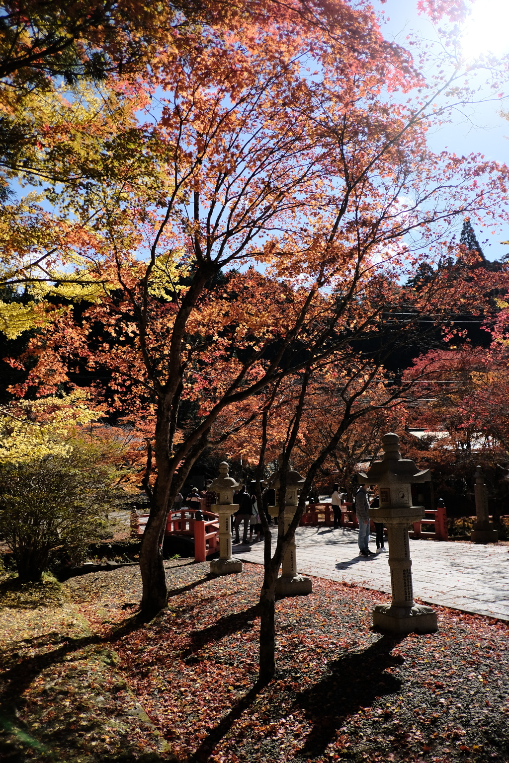 高野山の紅葉