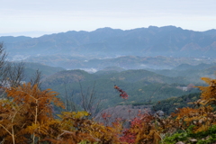 吉野の紅葉