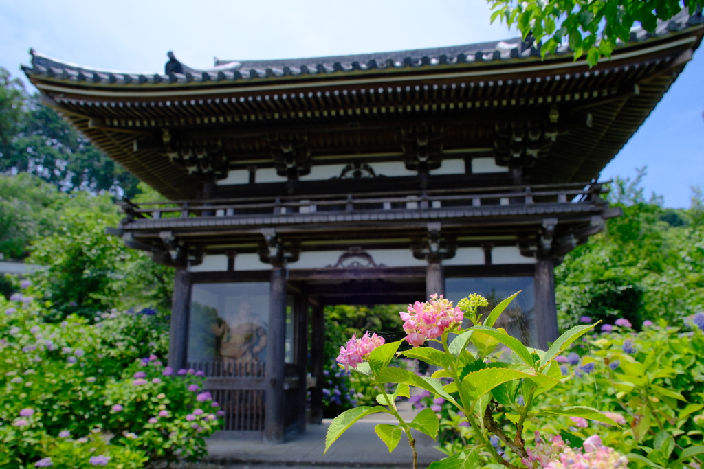 丹州観音寺