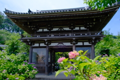 丹州観音寺