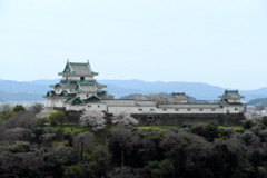 和歌山城
