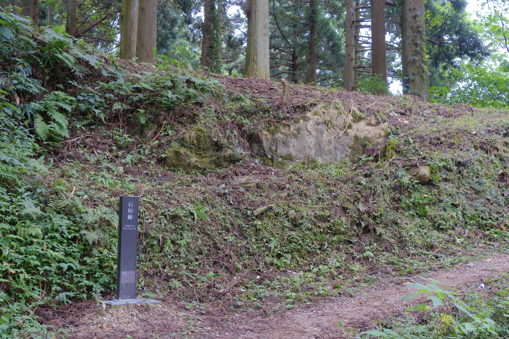 増山城跡
