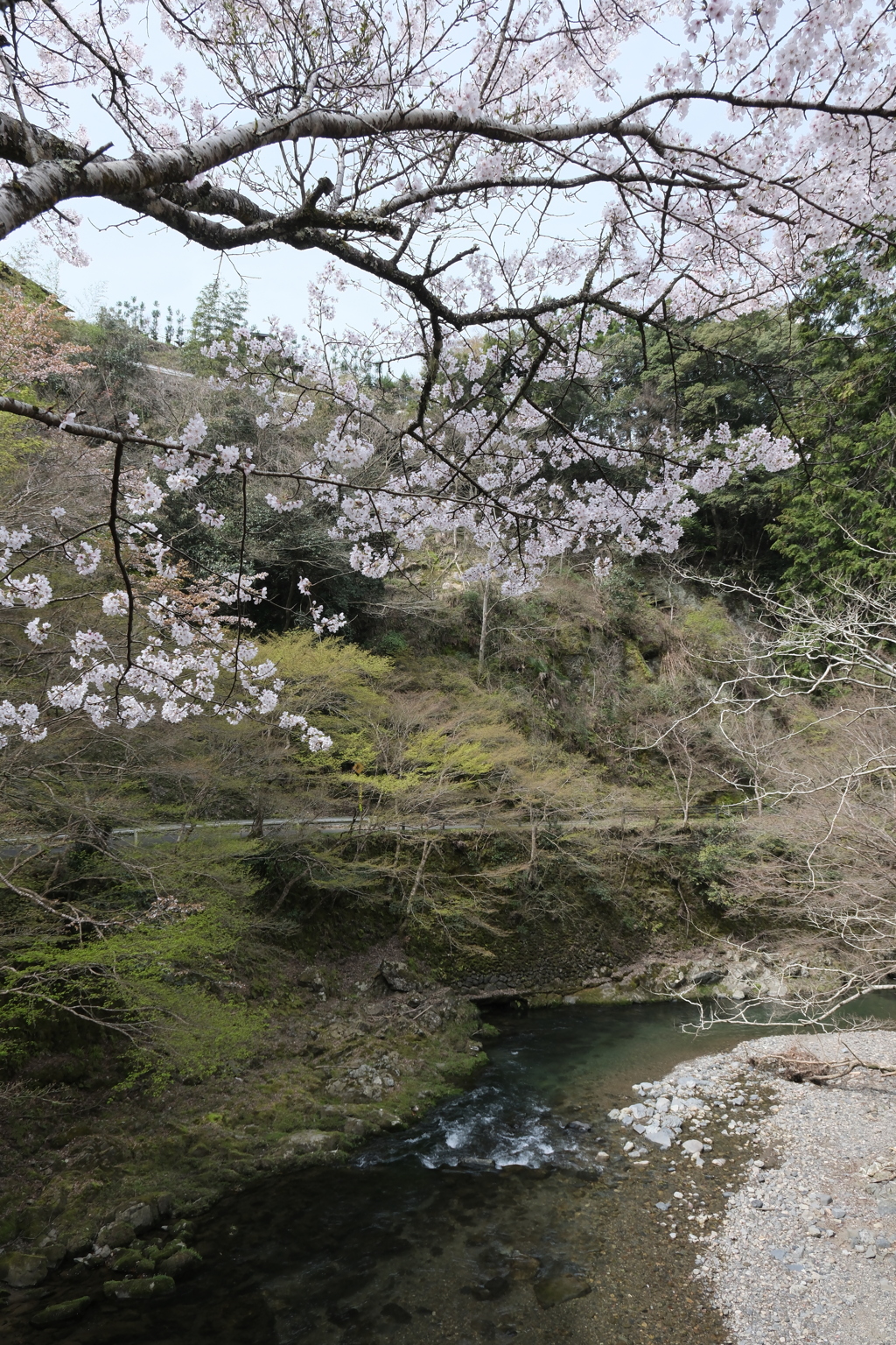 西明寺