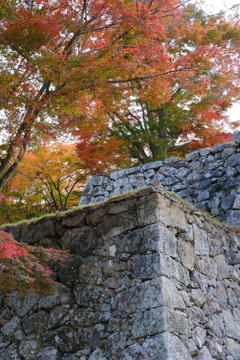 津山城の紅葉