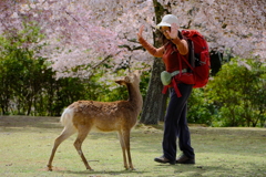降参