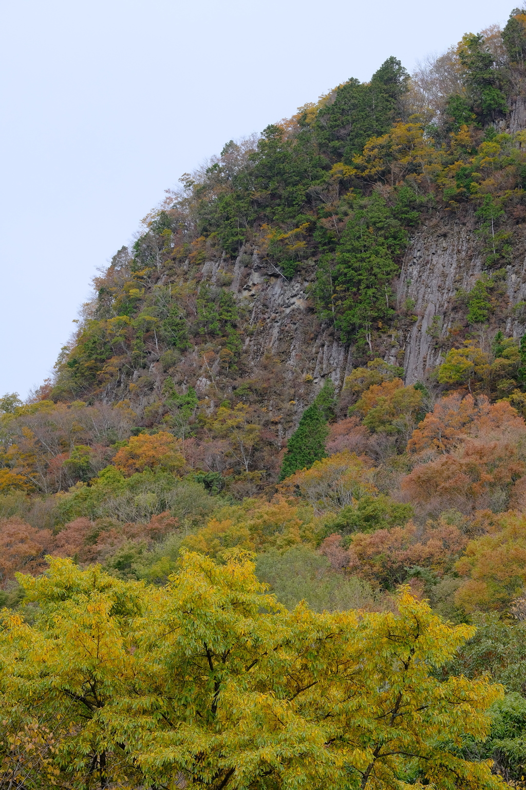 屏風岩公苑の紅葉
