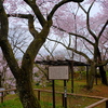 高遠城本丸跡