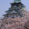 大阪城と桜