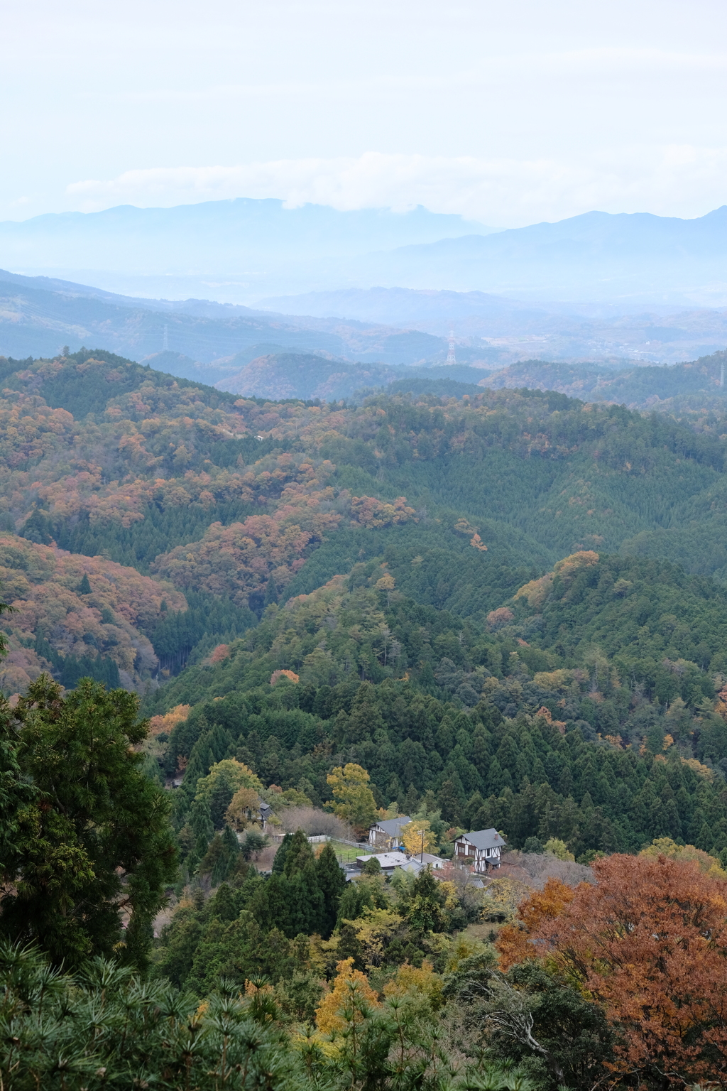 吉野の紅葉